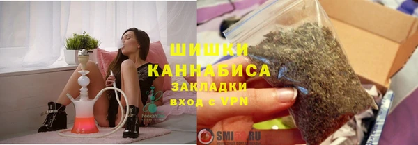 молекула духа Ельня