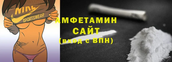молекула духа Ельня