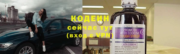 молекула духа Ельня
