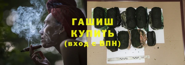молекула духа Ельня