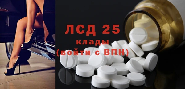 молекула духа Ельня