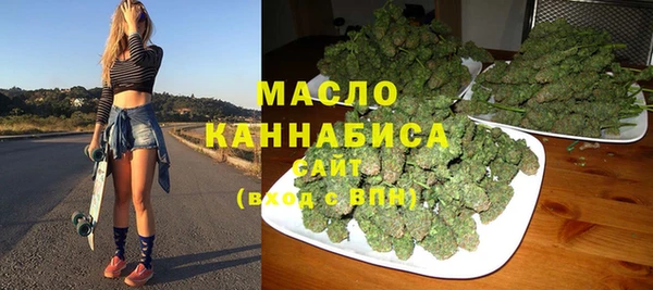молекула духа Ельня