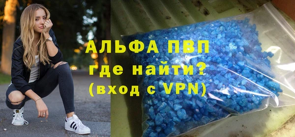 стаф Елизово