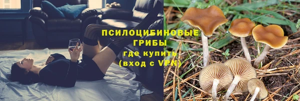 стаф Елизово