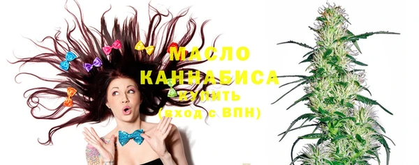 стаф Елизово
