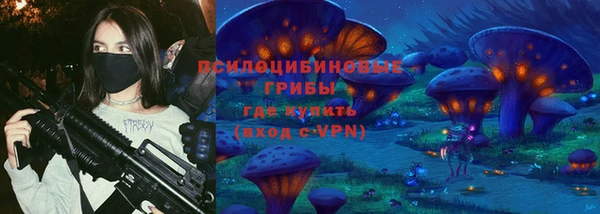 стаф Елизово