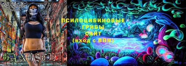 стаф Елизово