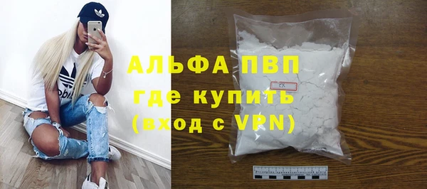 молекула духа Ельня