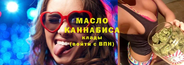 молекула духа Ельня